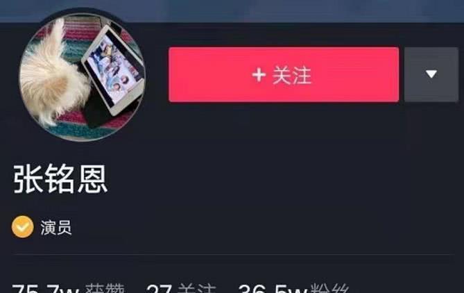 徐璐张铭恩被曝分手后，两人默默用这小动作回