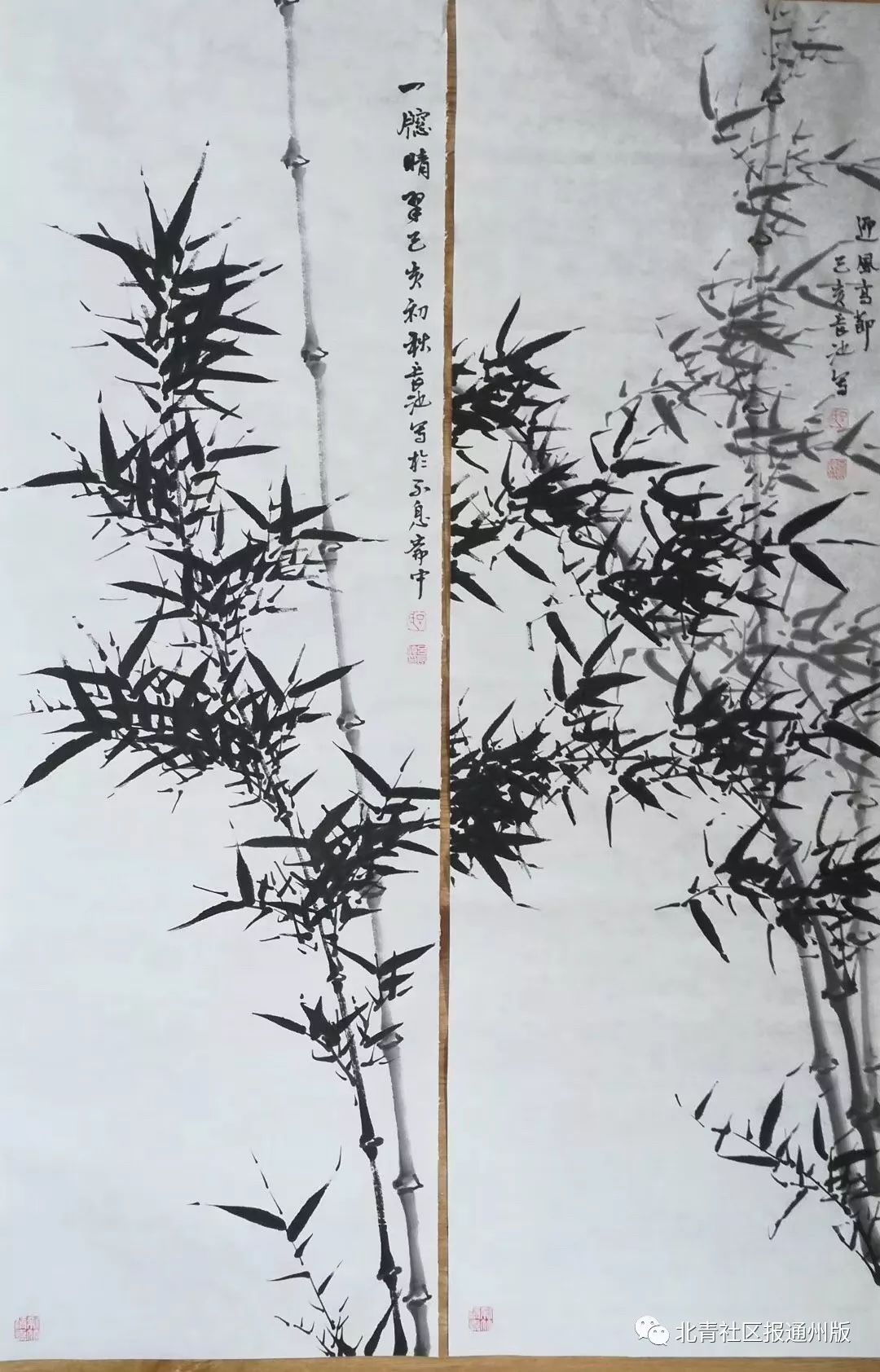 【运河画苑】他画竹50年…一支画笔,画尽世间墨竹