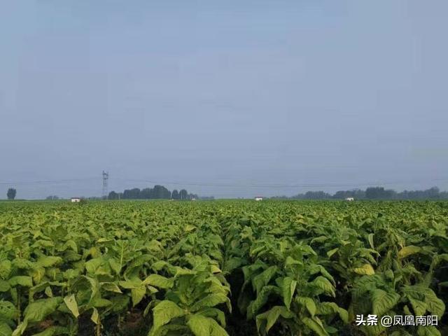 柳河县有多少人口_十大热词 这是彭州告别2019 迎接2020的最好表白