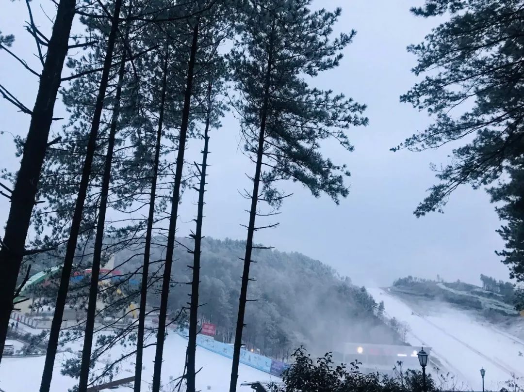 刚刚曾家山迎来2020年首雪美爆了