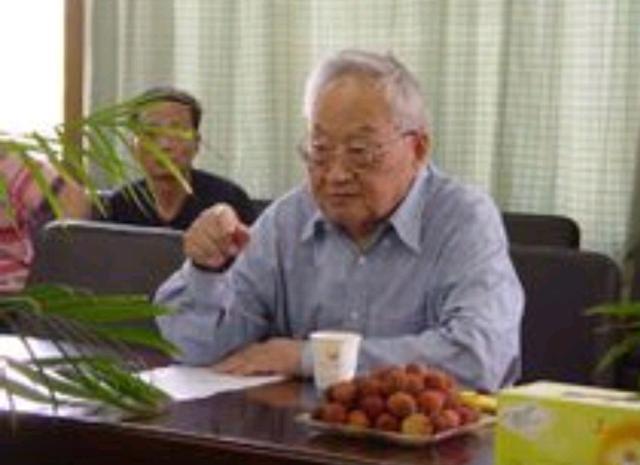 他是首任国家安全部部长,沉默者凌云,101