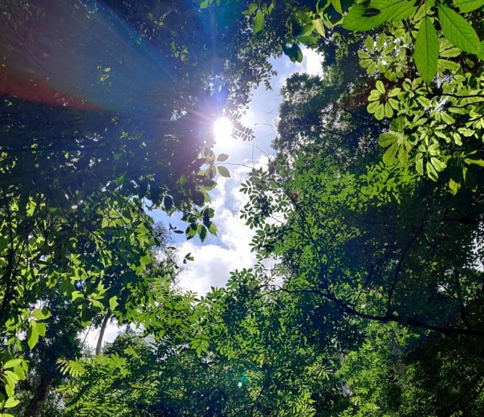 西双告庄景，一来就爱上的地方