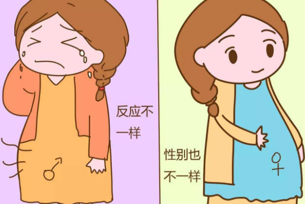 孕育乖宝宝■孕期，几个判别男孩女孩的方法，自测一下吧！