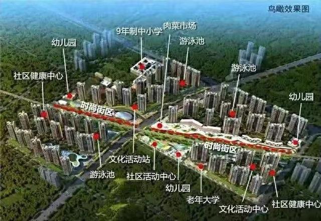 龙海一路金地天润自在城C区组团户型图怎么样,公立学校开建了吗 涨不上去？迟迟不备案是因为噪音缺点房闹吗？-营销中心