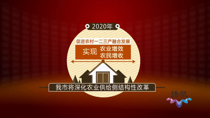 奋斗2020(三)实施农村振兴战略加快改革开放