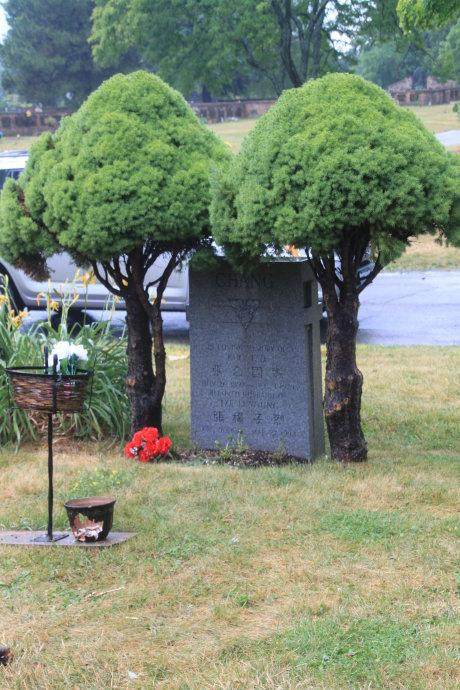 加拿大张国焘墓,墓地简单寒酸,两棵松柏陪伴,墓碑面向