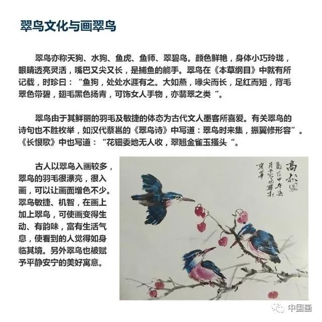 国画教程：写意禽鸟之翠鸟的画法，书画爱好者必备_搜狐网