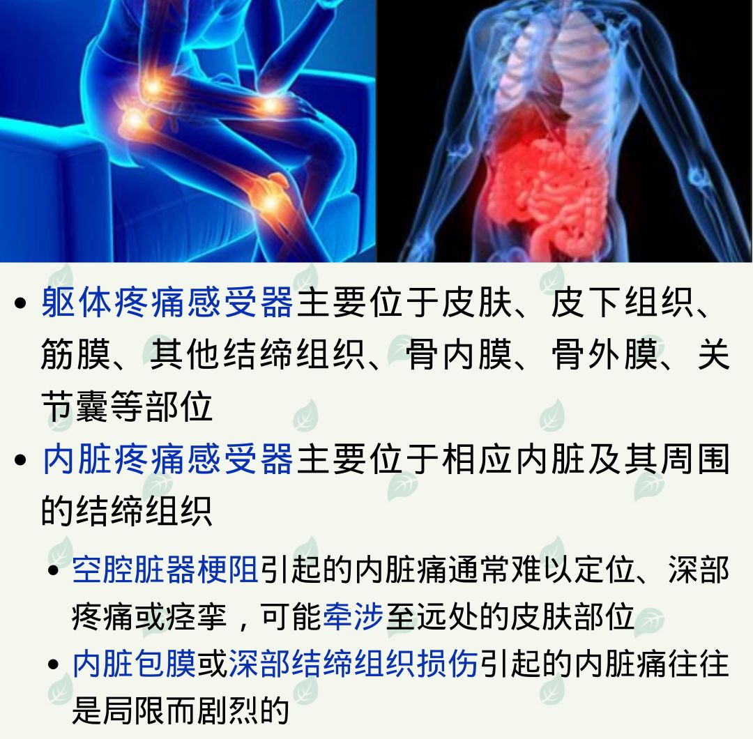 不同的疼痛有什么区别?为什么有的