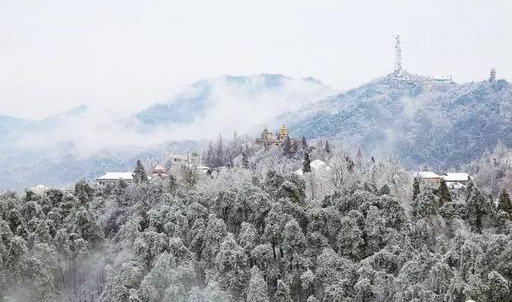 雪后的鸡公山出现雾凇奇观!