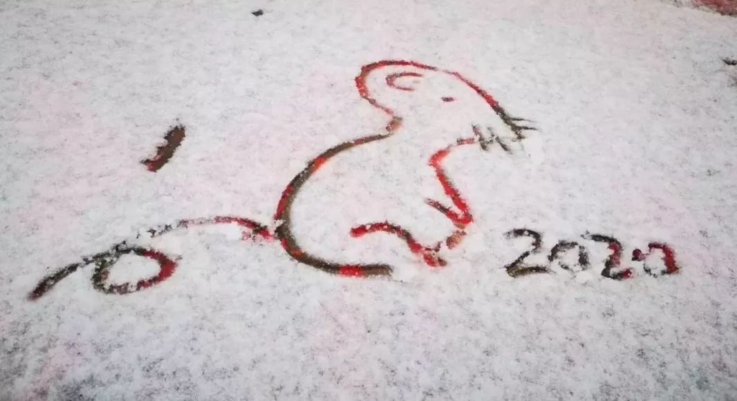  [2020年南京第一场雪，骨科专家却担心老年人......] 