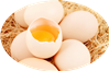 向鸡蛋要营养，“十个秘籍”不可不知: