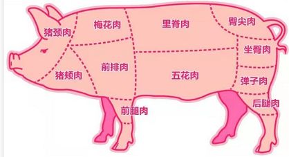  山东省中医院|猪肉营养知多少 专家为您来解读