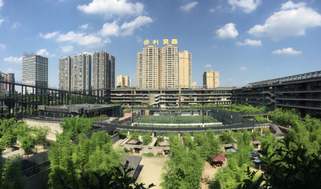 2020 青羊这么干！