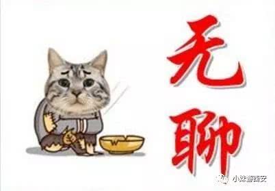 春满猜成语_看图猜成语