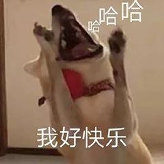 饭圈女孩真的很疯狂吗 ba76c3c10d1f4c3abe0674881a8a8885.jpeg