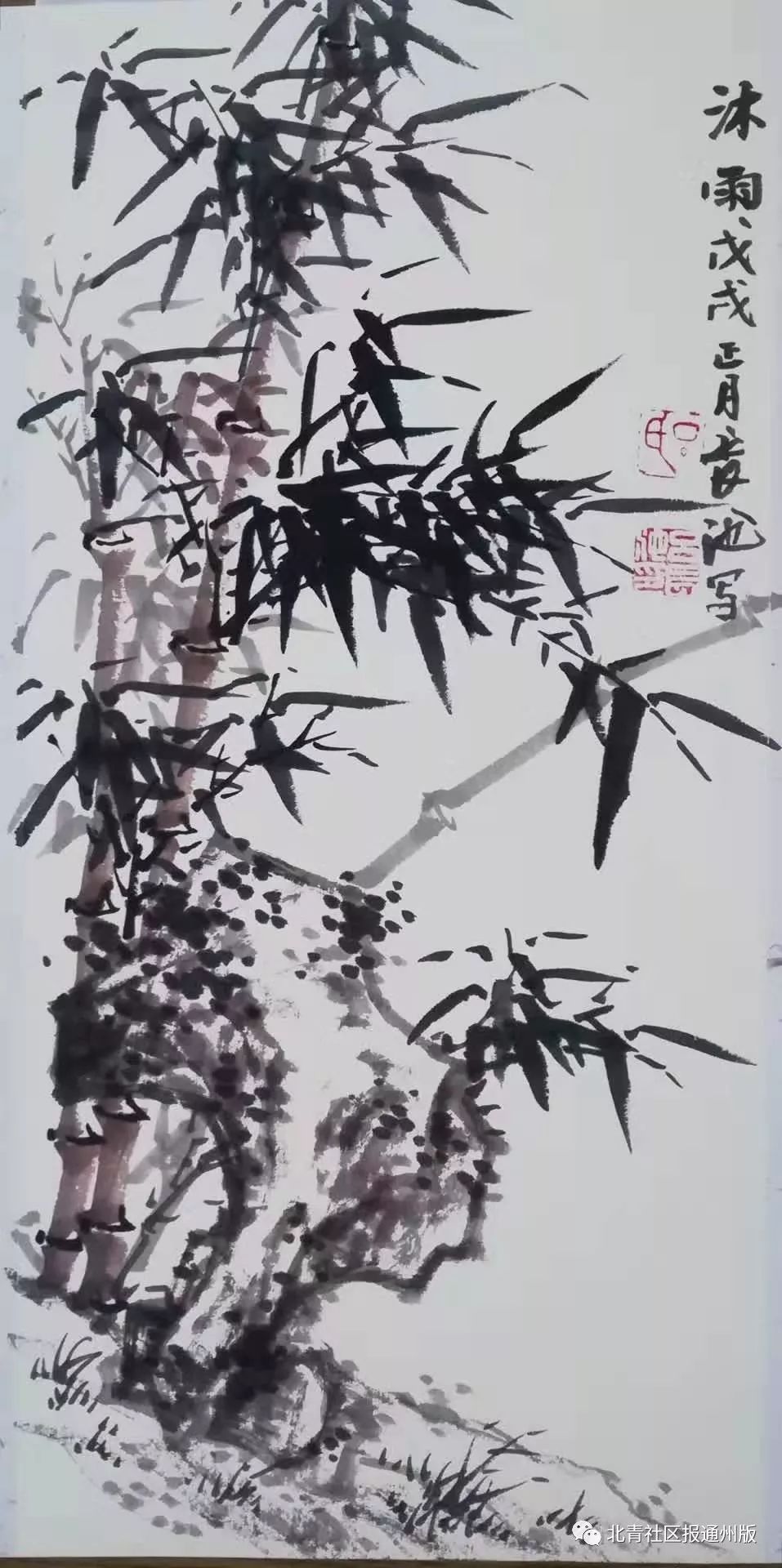 【运河画苑】他画竹50年…一支画笔,画尽世间墨竹