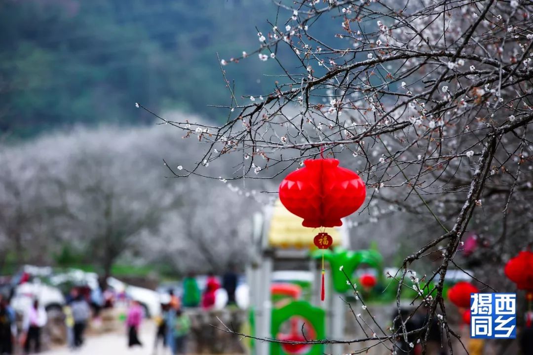 来源:揭西扫码关注返回搜狐