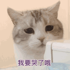 「孕妇产妇幼儿新生儿早教妈妈网」3岁孩子误食家中绿植导致中毒！特别是第二种，你家一定也有！