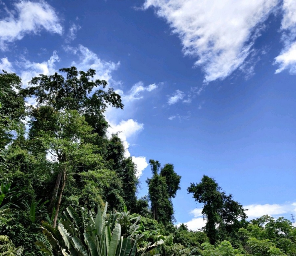 西双告庄景，一来就爱上的地方