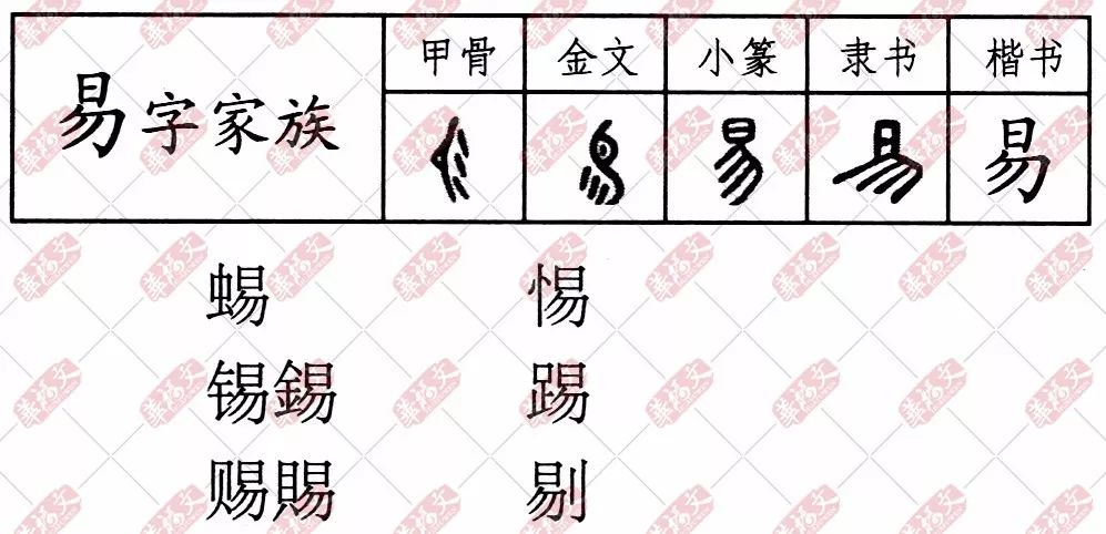 双法字理 易字家族 汉字