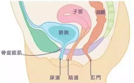 e885e549784d4138a4b0ee5a4287658d.jpeg