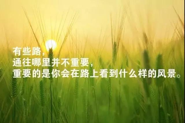 e97eea80a9b840789e6a6a151f1e3594.jpeg