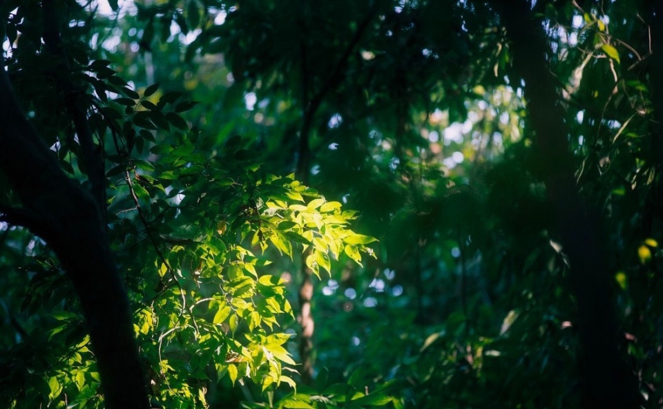 西双告庄景，一来就爱上的地方