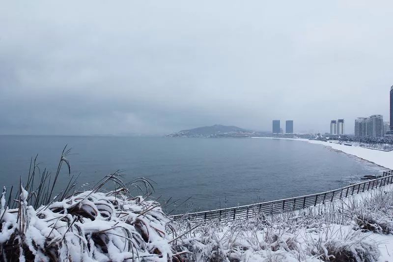 荐读   雪落威海,惊艳了整个冬天