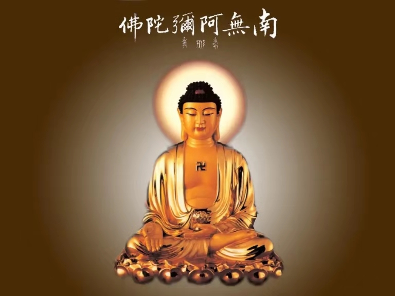 快来关注菩提智光!
