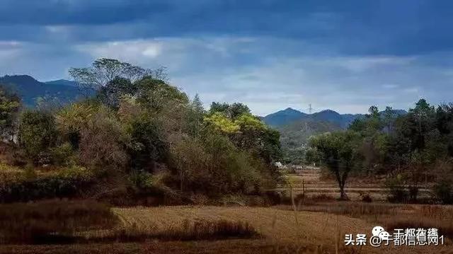 于都县峡山有多少人口_于都县雩山中小学校徽(2)