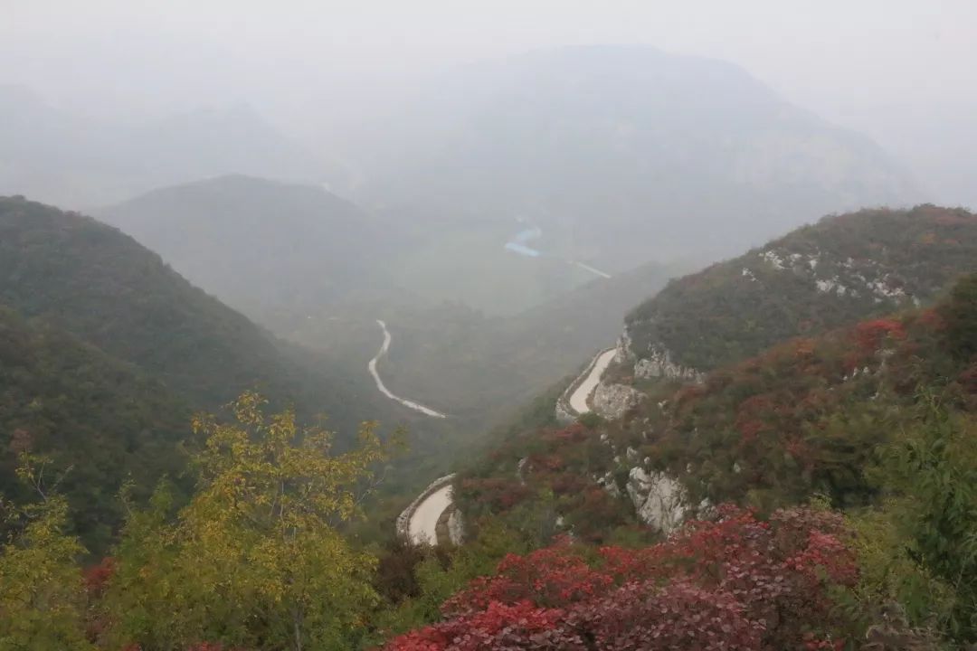 热点 | 权威!太焦高铁具体通车时间确定?官宣!