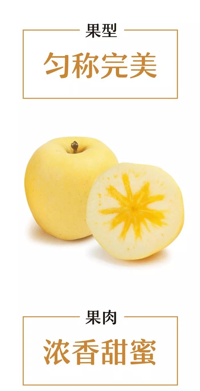 故此称为"冬恋苹果"表示苹果正处于「蜜入」状态苹果芯更有呈深黄色