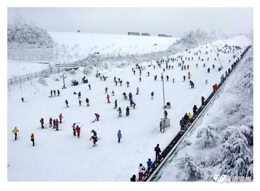 �����ݡ��滧�⡱�������ͣ��������