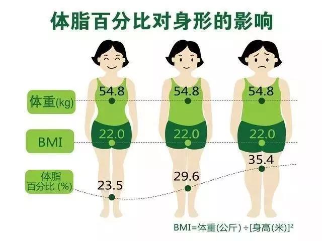 8×性别(男为1,女为0) 作为正常成年人的体脂率,男性应为15%-18%,女性