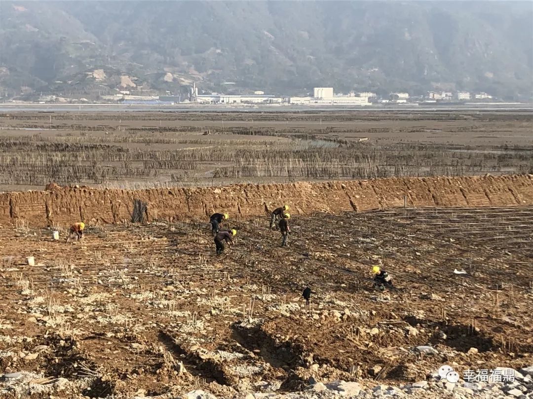 岐头村人口_闽侯竹岐榕岸村规划图