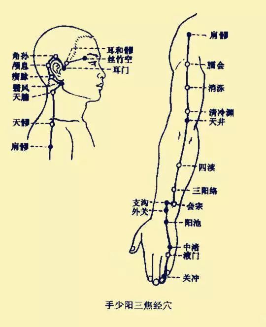 常敲打这几个经络健康又养生