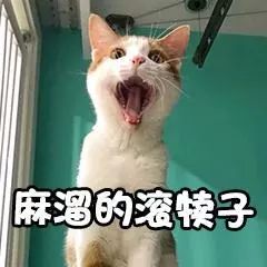 27ccef0525df475a95f614c865cc8f17.jpeg