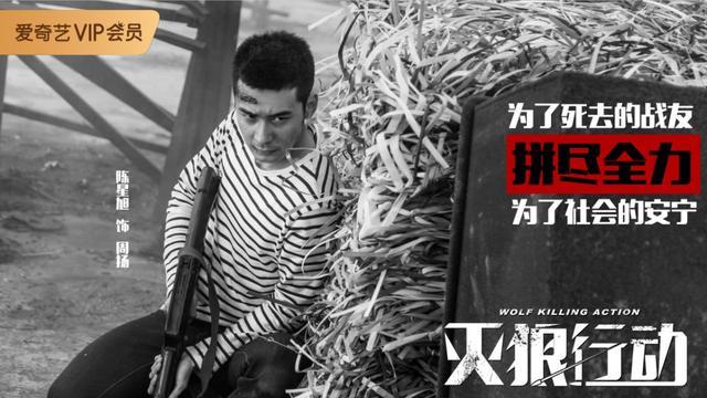 在院线也能火的军事特战电影《灭狼行动》在网络播可惜了