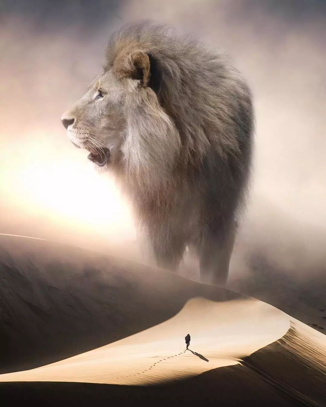 PS看这些作品可以脑补1000集动物世界电影!