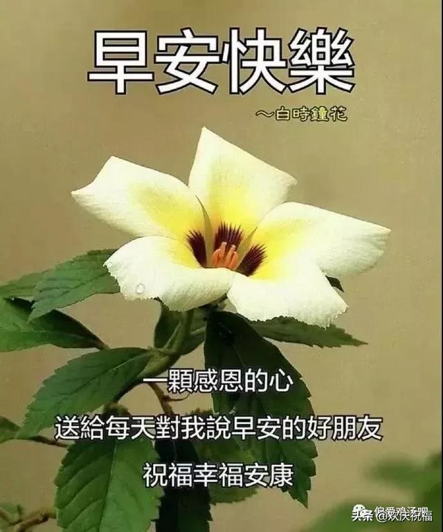 42312d8d904548a19eaeaf1a82df78fc.jpeg