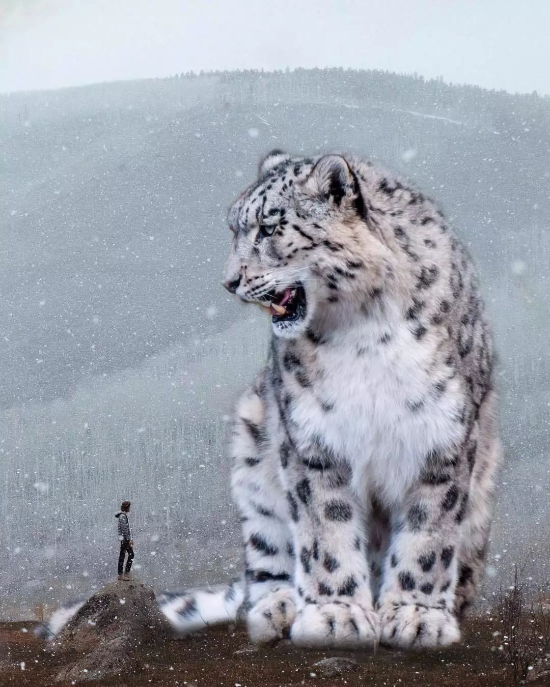 PS看这些作品可以脑补1000集动物世界电影!