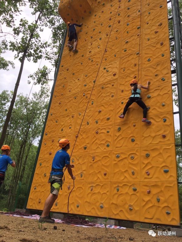 �����ݡ��滧�⡱�������ͣ��������