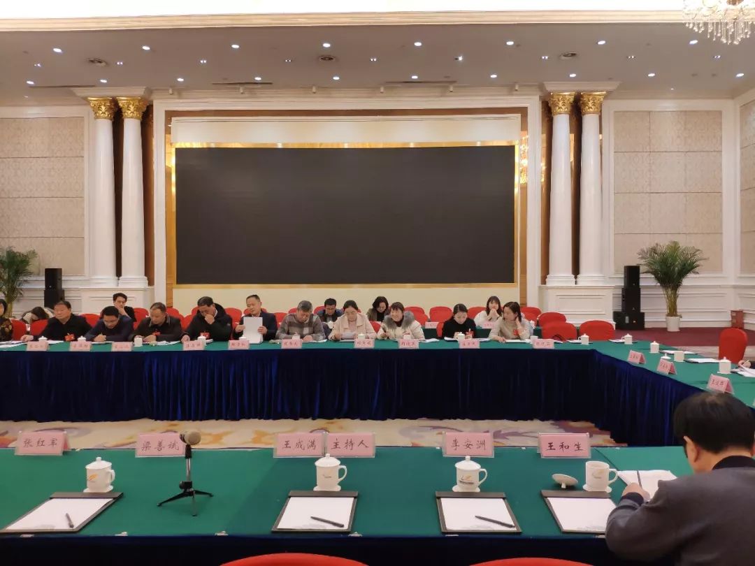 巢湖市第九届人民代表大会第五次会议闭幕,一起来看看槐林镇的市人大