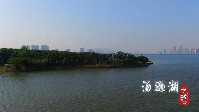 6190692d398843399e478423167dc944.jpeg