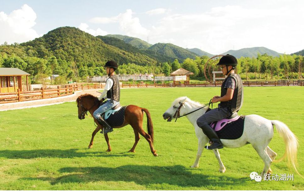 �����ݡ��滧�⡱�������ͣ��������