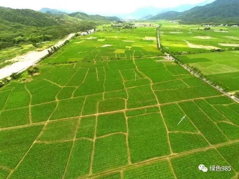 【生态鄱阳湖 绿色农产品】江西农产品品牌展播—魅力铅山,芋香千里