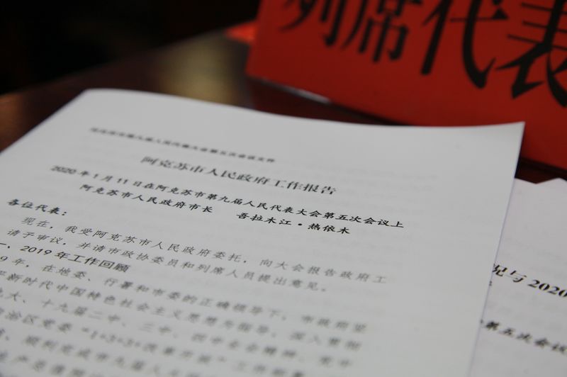 阿克苏经济总量2019_阿克苏苹果图片