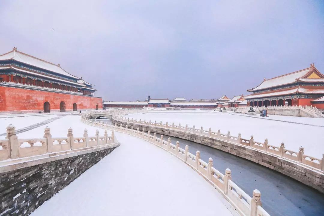 蹲守故宫3年，她拍下刷遍全网的雪景图和猫片