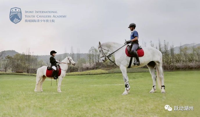 �����ݡ��滧�⡱�������ͣ��������