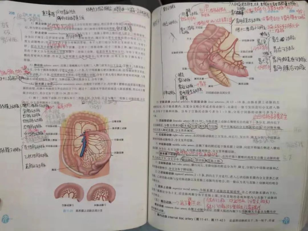 人体解剖图见过吗?精细到血管的!丽院学生笔记本里就有